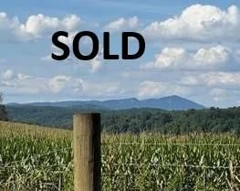 Property for sale in Surry County, North Carolina