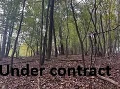 Property for sale in Surry County, North Carolina