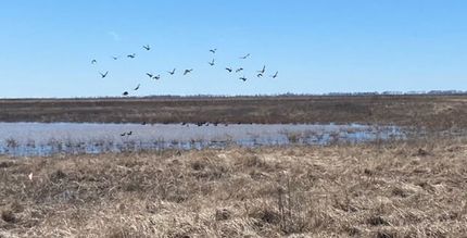 Property for sale in New Madrid County, Missouri