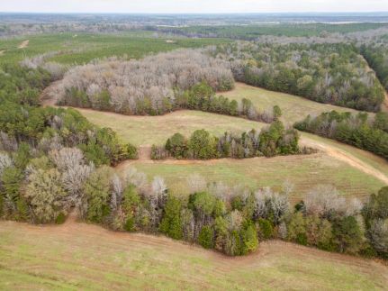 Hunting Land for sale in Clay County, Mississippi