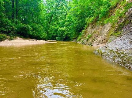 Property for sale in Simpson County, Mississippi