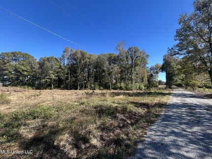 Waterfront Property for sale in Simpson County, Mississippi