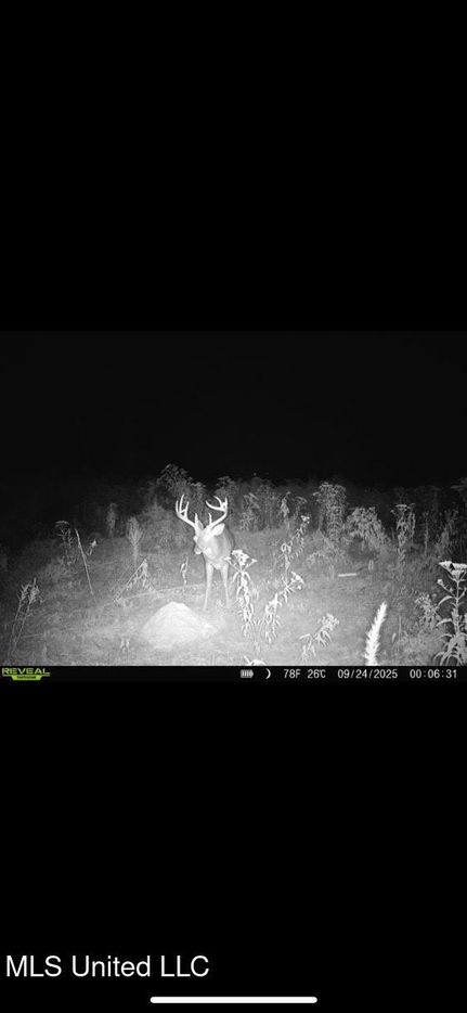 Property for sale in Holmes County, Mississippi