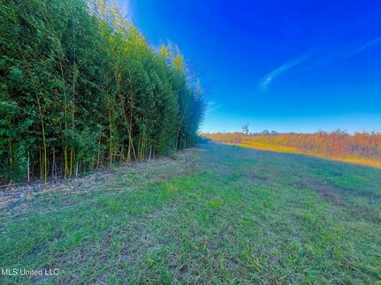 Undeveloped Land for sale in Walthall County, Mississippi