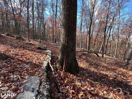 Timberland Property for sale in Madison County, Alabama