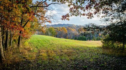 Property for sale in Sullivan County, Tennessee