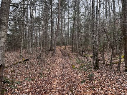 Recreational Property for sale in Unicoi County, Tennessee