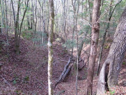 Undeveloped Land for sale in Lauderdale County, Mississippi