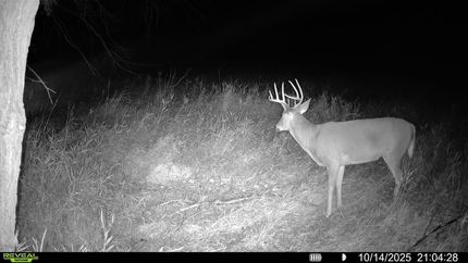 Property in Griggs County, North Dakota