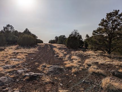 Property for sale in Apache County, Arizona