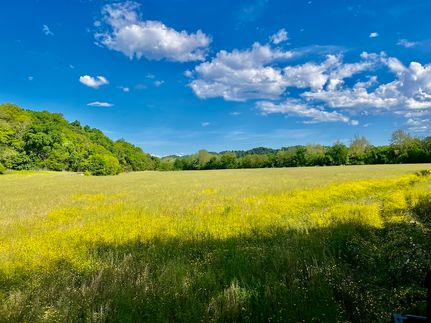 Residential Property for sale in Greene County, Tennessee