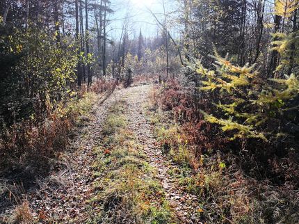 Property for sale in Forest County, Wisconsin