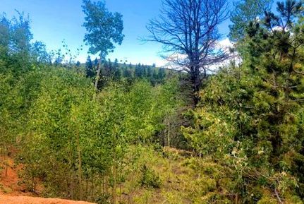 Recreational Property for sale in Teller County, Colorado