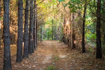 Property for sale in Sumter County, Georgia