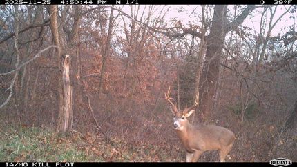 Property for sale in Appanoose County, Iowa