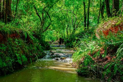 Property for sale in Chester County, South Carolina