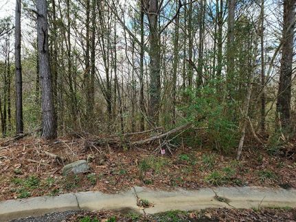 Undeveloped Land for sale in Cullman County, Alabama