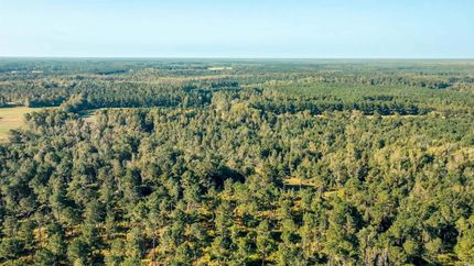 Property for sale in Marion County, South Carolina