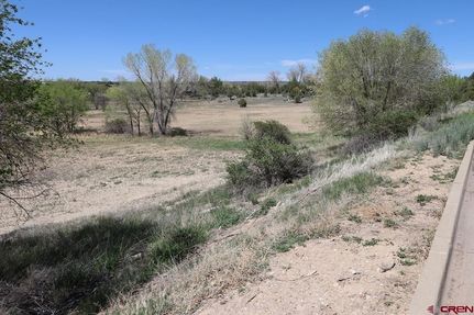 Undeveloped Land for sale in Montezuma County, Colorado