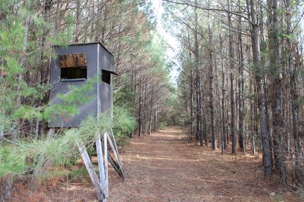 Property for sale in Montgomery County, Alabama