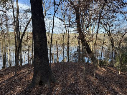 Property for sale in Chambers County, Alabama