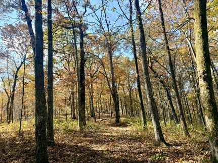 Timberland Property for sale in Marshall County, Mississippi