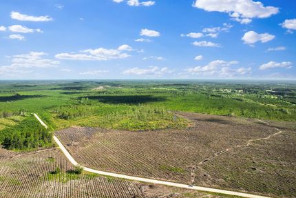 Property for sale in Wayne County, Georgia