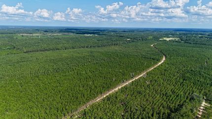 Hunting Land for sale in Appling County, Georgia