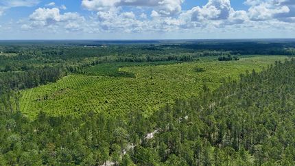 Property for sale in Wayne County, Georgia