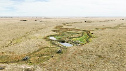 Farm Property for sale in Adams County, Colorado