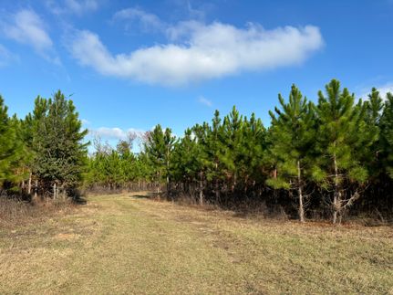 Property for sale in Jackson County, Florida