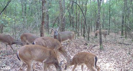 Property for sale in Santa Rosa County, Florida