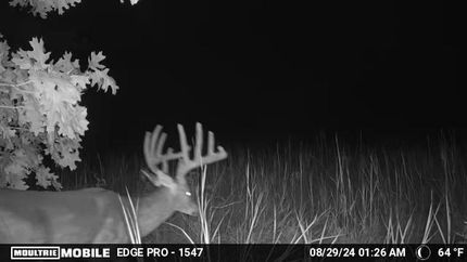 Property in Henderson County, Illinois