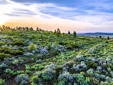 Property for sale in Modoc County, California