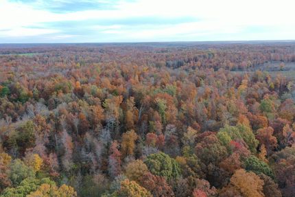 Property for sale in Ripley County, Missouri