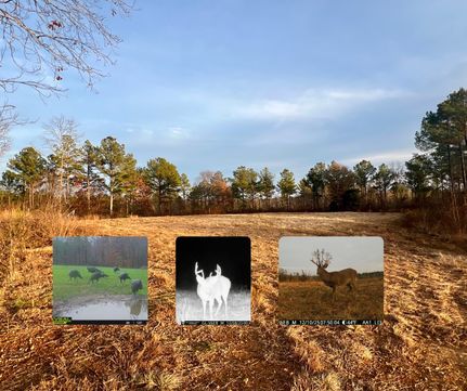 Farm Property for sale in Lauderdale County, Alabama