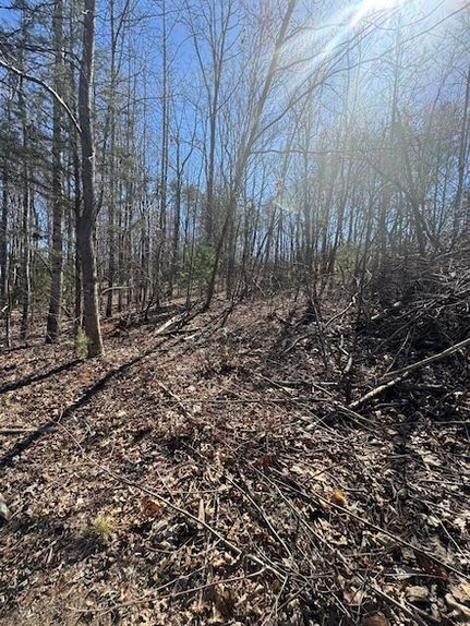 Property for sale in Franklin County, Virginia