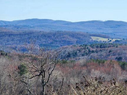 Property for sale in Schoharie County, New York