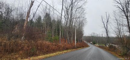 Property for sale in Sullivan County, New York