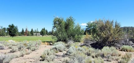 Undeveloped Land for sale in Siskiyou County, California