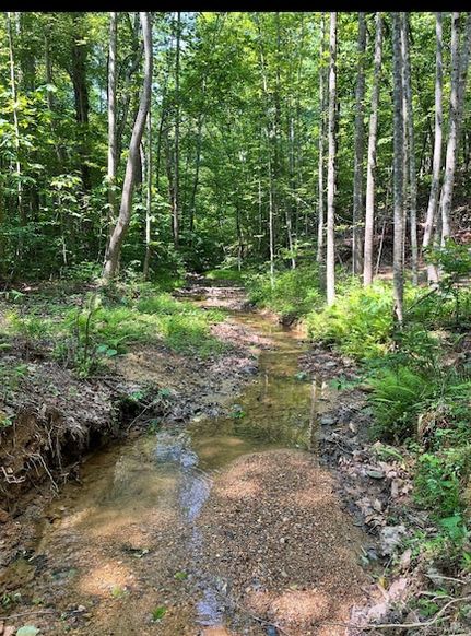 Property for sale in Amherst County, Virginia