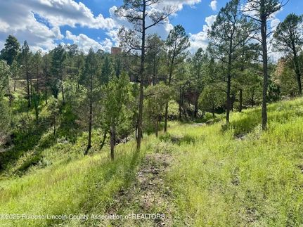 Property for sale in Lincoln County, New Mexico