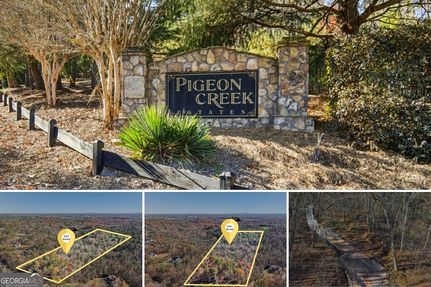 Undeveloped Land for sale in Dawson County, Georgia