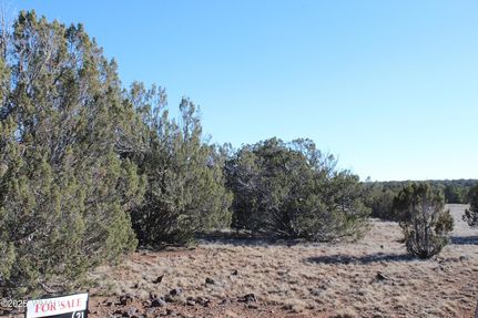 Property for sale in Navajo County, Arizona