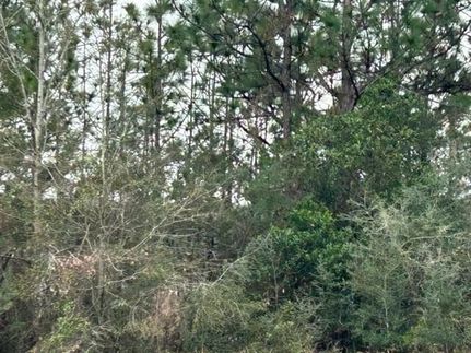 Property for sale in Mobile County, Alabama