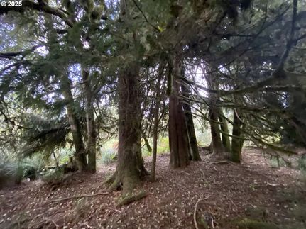 Undeveloped Land for sale in Clatsop County, Oregon