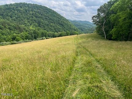 Property for sale in Scott County, Virginia