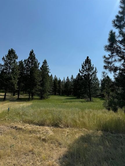 Property for sale in Lincoln County, Washington