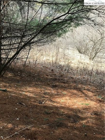 Property for sale in Ashe County, North Carolina