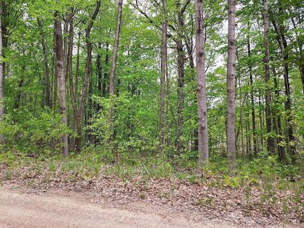 Property for sale in Clare County, Michigan